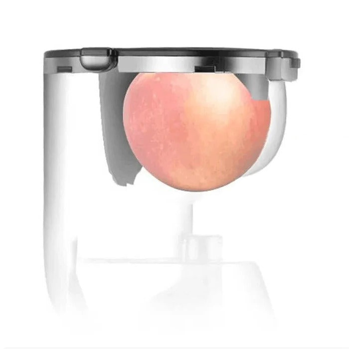 Automatic Juicer